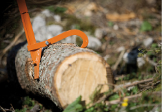 Herramientas para mantenimiento de árboles